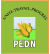 PE.D.N Logo