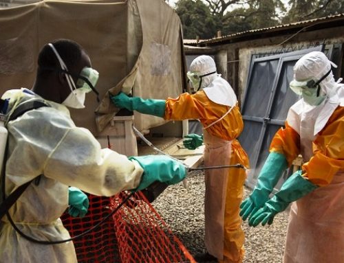 Ebola en RDC et en Guinée : l’OMS place six pays en « alerte urgente »