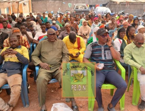 POLITIQUE: LE PEDN POURSUIT LE RENOUVELLEMENT DE SES INSTANCES EN HAUTE-GUINÉE