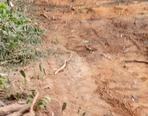 N’zérékoré : 17 victimes des violences de Macenta enterrées nuitamment dans une fosse commune